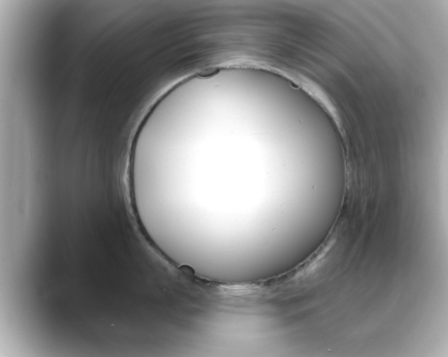 X0000089680863200706210813
