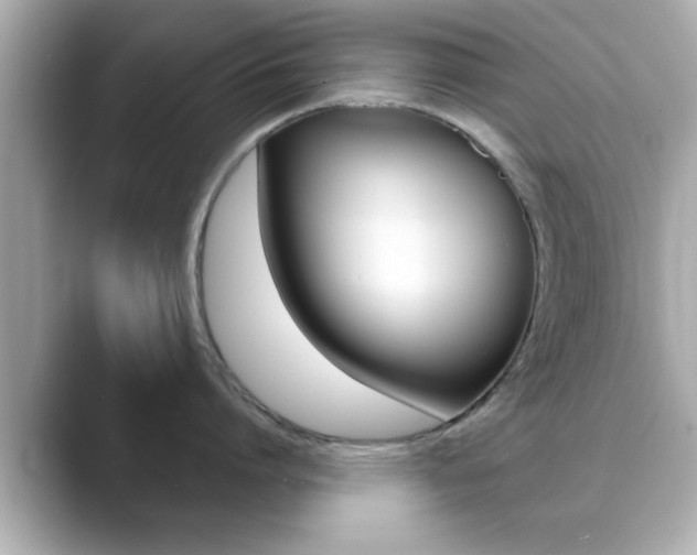 X0000089680864200706210813