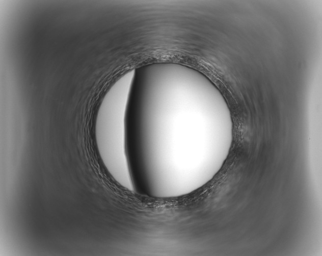 X0000089680865200706210812