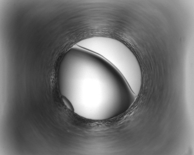 X0000089680867200706210812