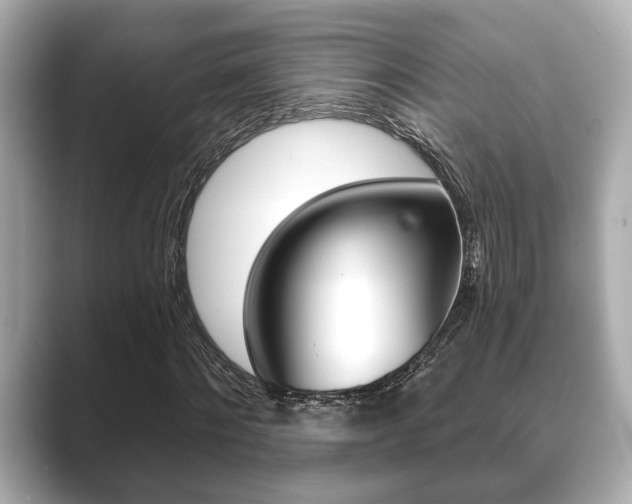 X0000089680868200706210812