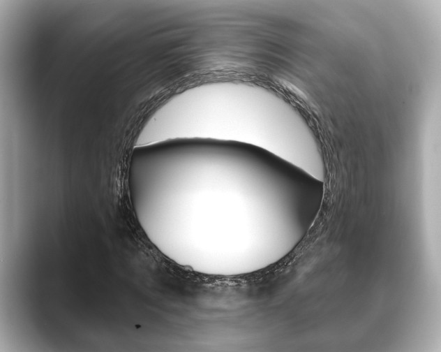 X0000089680869200706210812