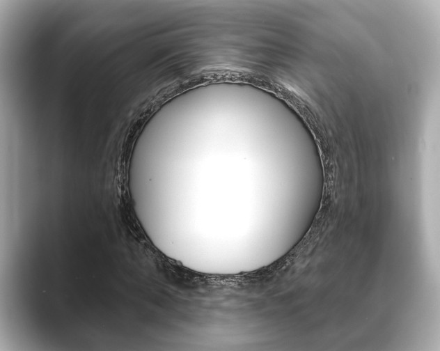 X0000089680870200706210812