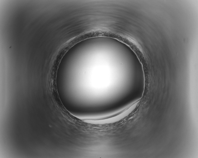 X0000089680872200706210812