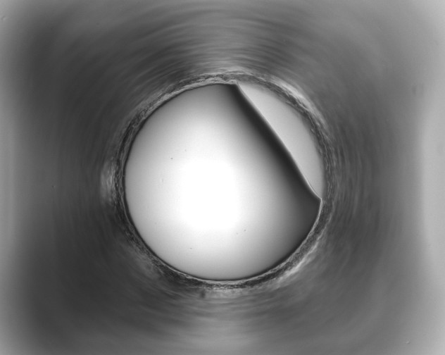 X0000089680873200706210812