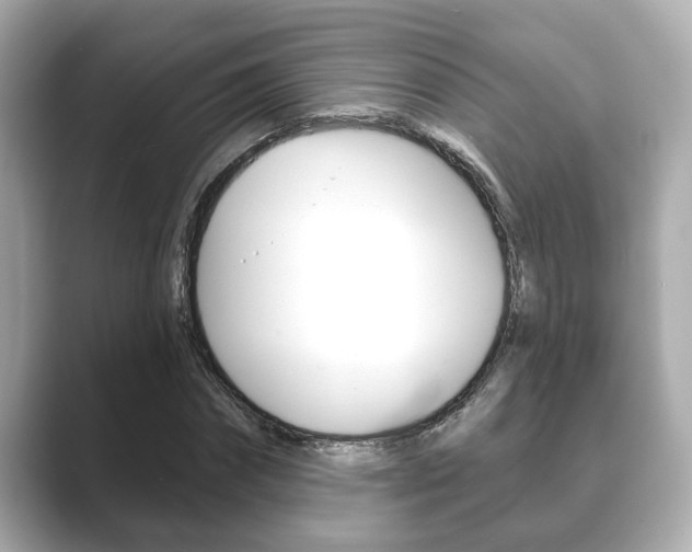 X0000089680874200706210812