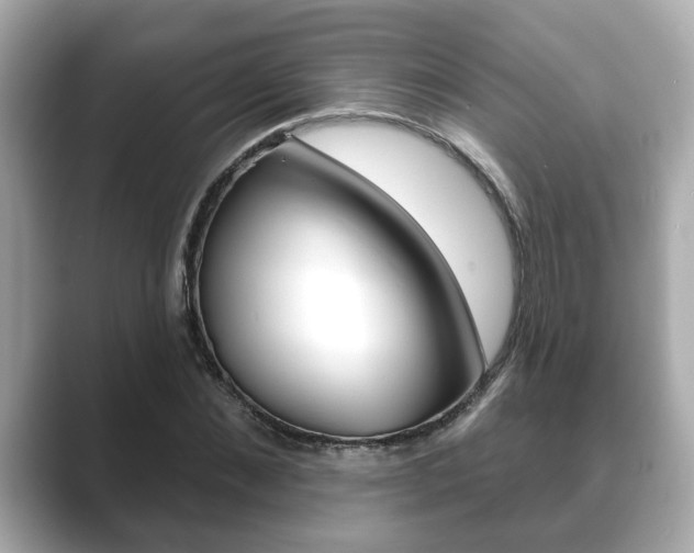 X0000089680876200706210812