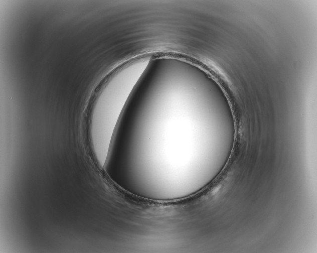 X0000089680877200706210812