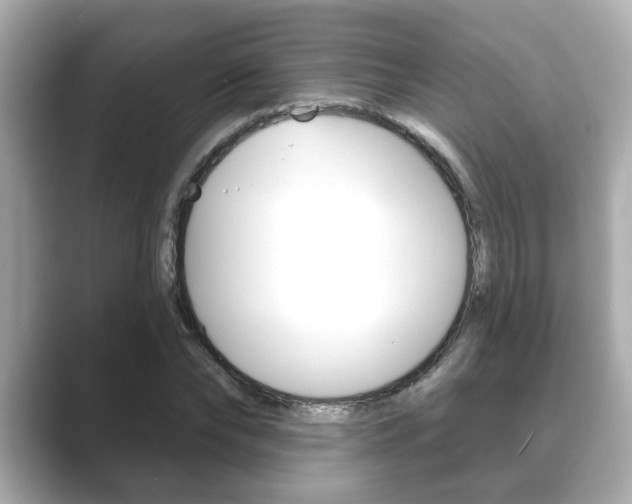 X0000089680878200706210812