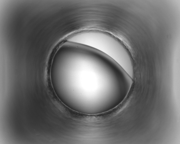 X0000089680880200706210812