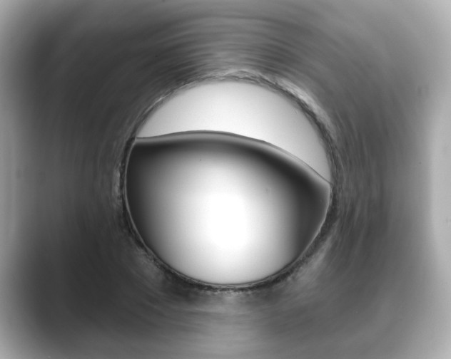 X0000089680881200706210812