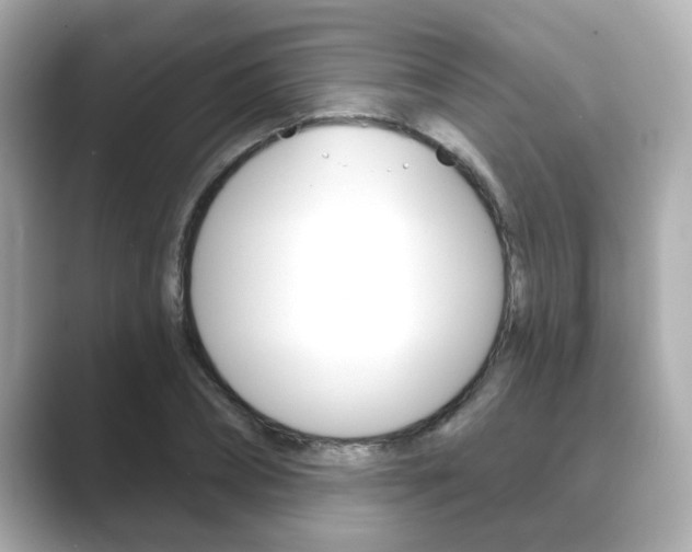 X0000089680882200706210812