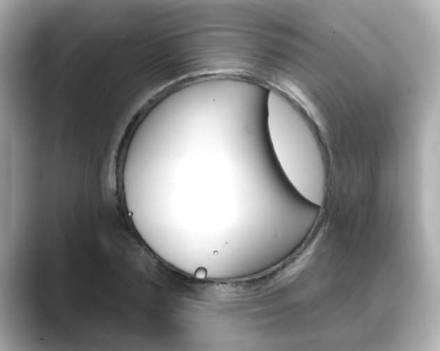 X0000089680883200706210812