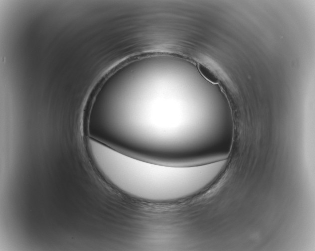 X0000089680884200706210812