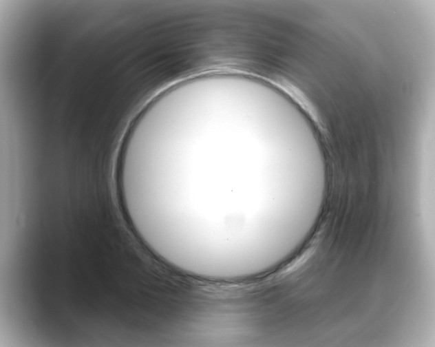 X0000089680885200706210812