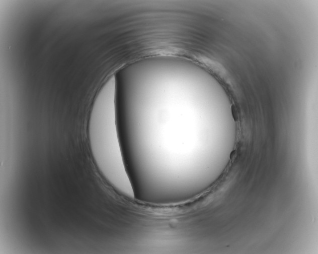 X0000089680889200706210812