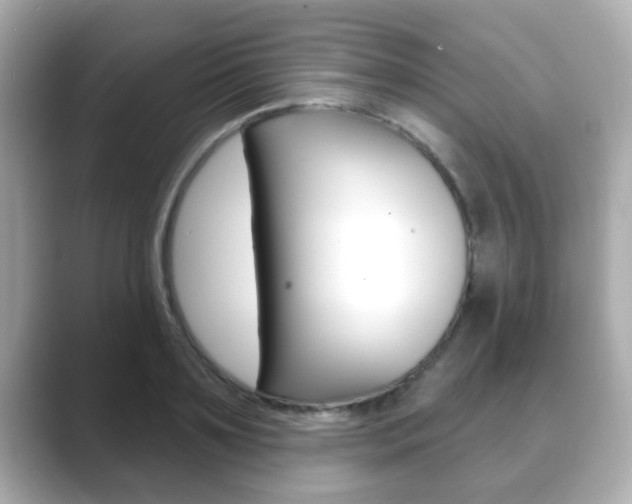 X0000089680891200706210812
