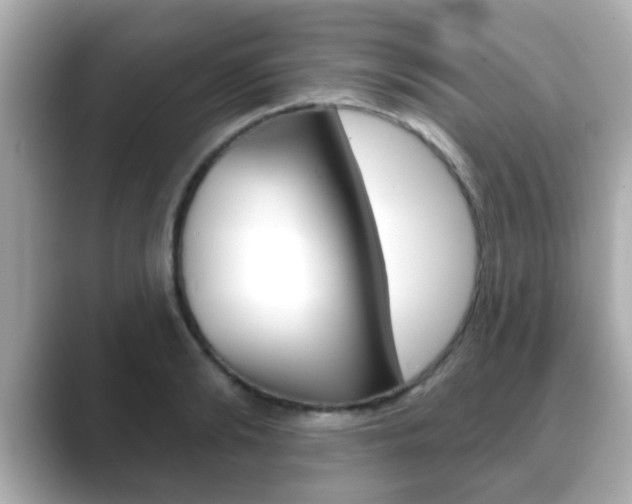 X0000089680894200706210812