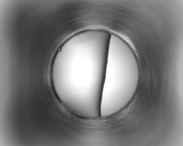 X0000089680895200706210812
