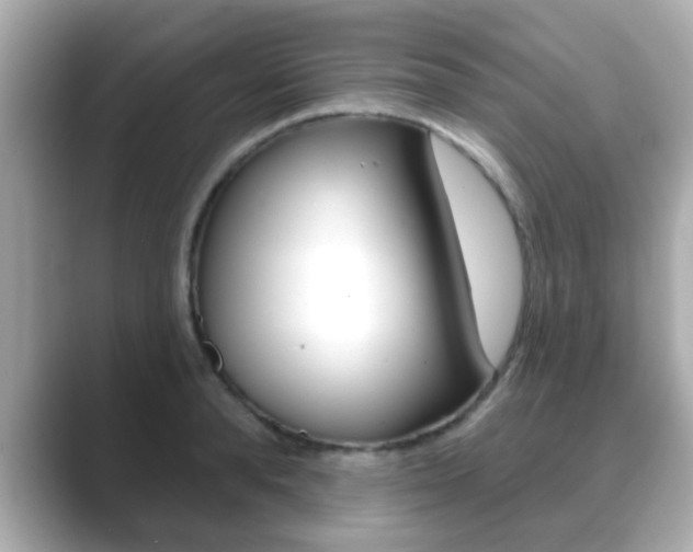 X0000089680896200706210812