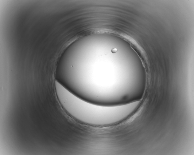 X0000089680897200706210812