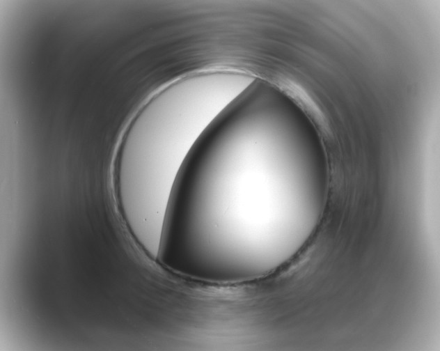 X0000089680900200706210812