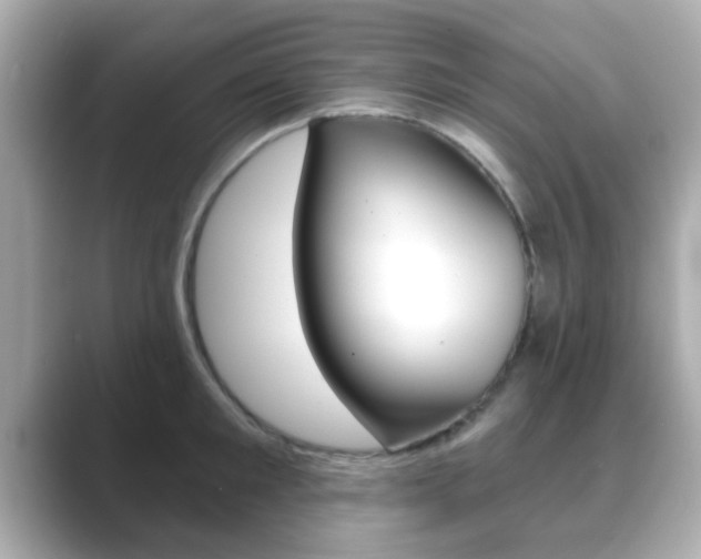 X0000089680901200706210811