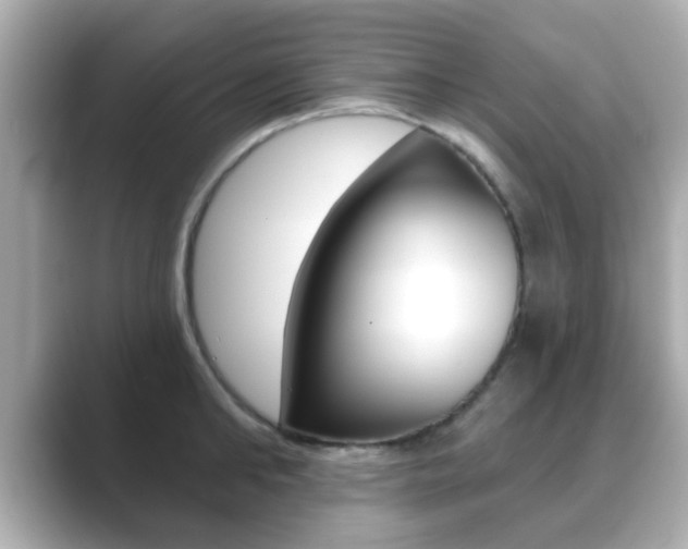 X0000089680902200706210811