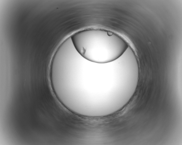 X0000089680903200706210811