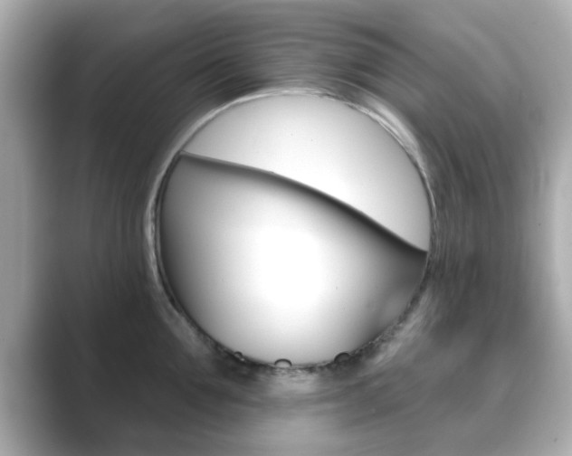 X0000089680907200706210811