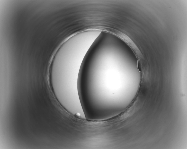 X0000089680908200706210811