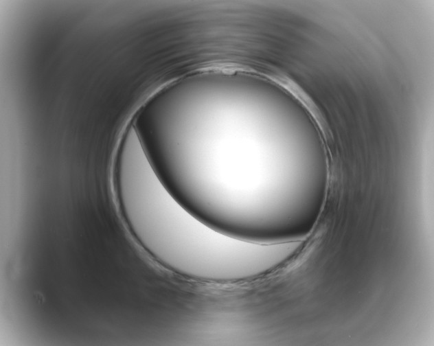 X0000089680909200706210811