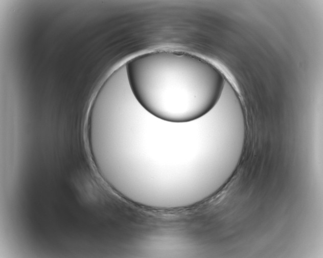 X0000089680911200706210811