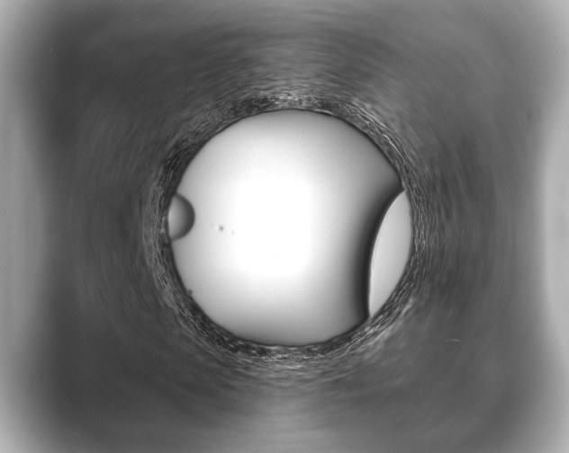 X0000089680913200706210811