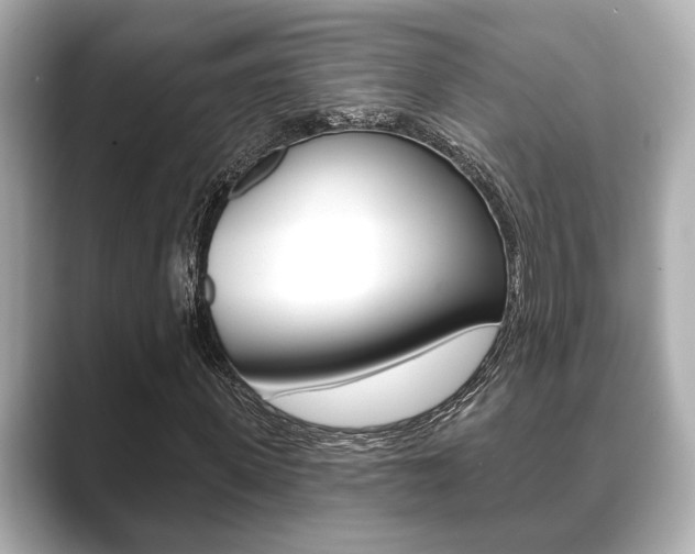 X0000089680915200706210811