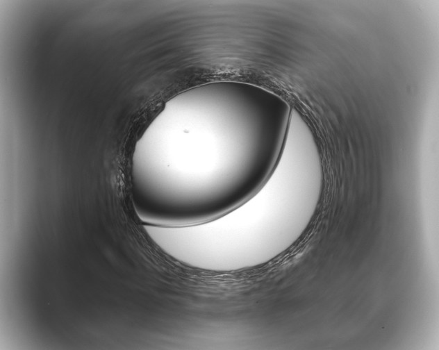 X0000089680916200706210811