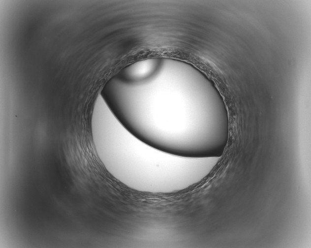 X0000089680917200706210811