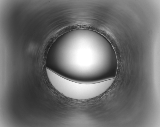 X0000089680920200706210811
