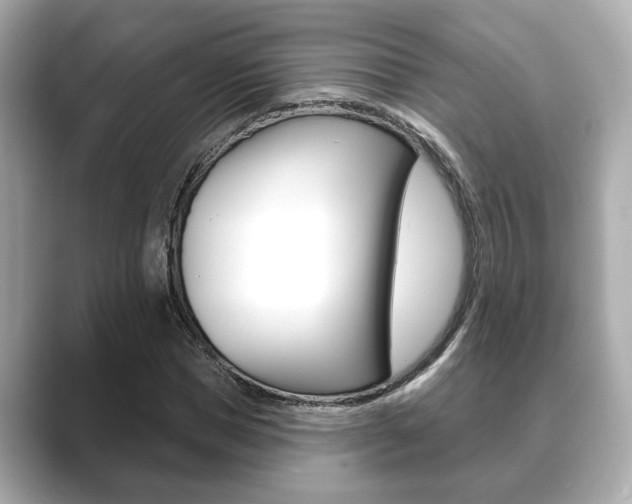 X0000089680921200706210811