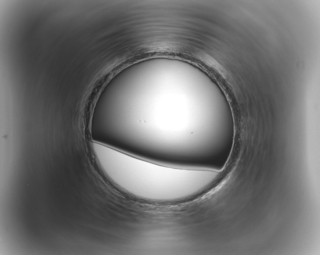 X0000089680922200706210811