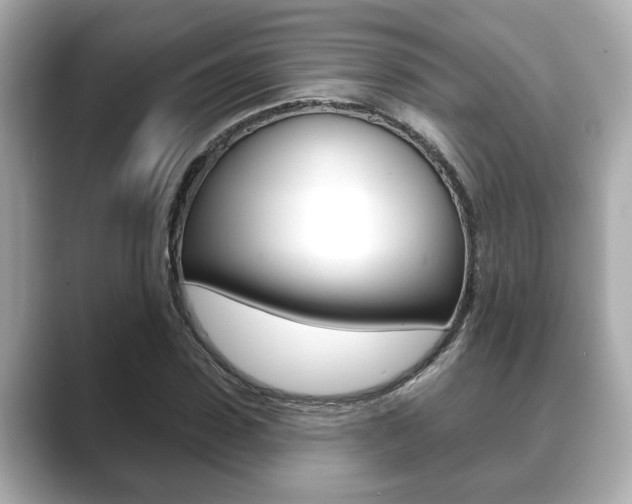 X0000089680923200706210811
