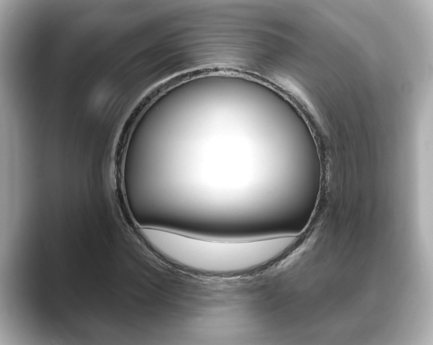 X0000089680924200706210811