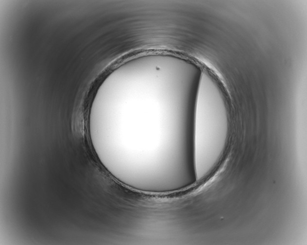 X0000089680925200706210811