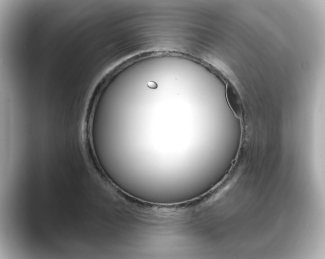 X0000089680928200706210811