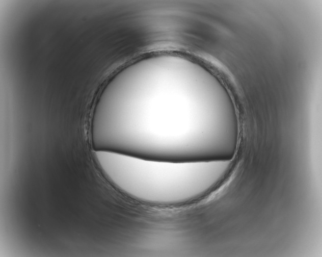 X0000089680929200706210811
