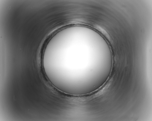 X0000089680931200706210811