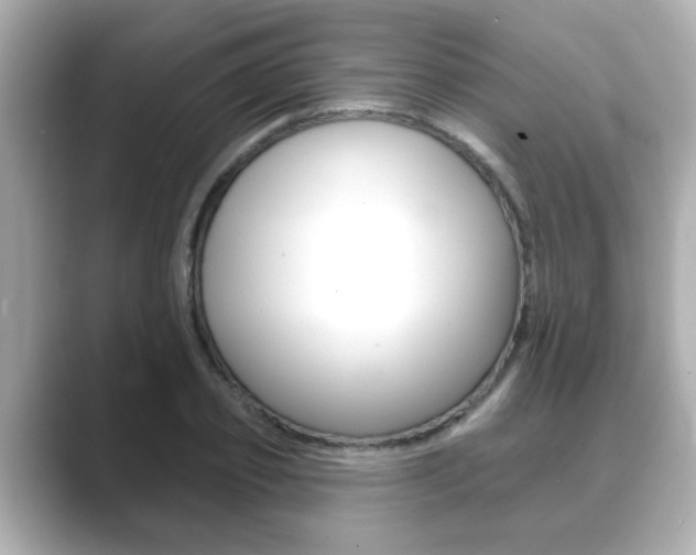 X0000089680933200706210811