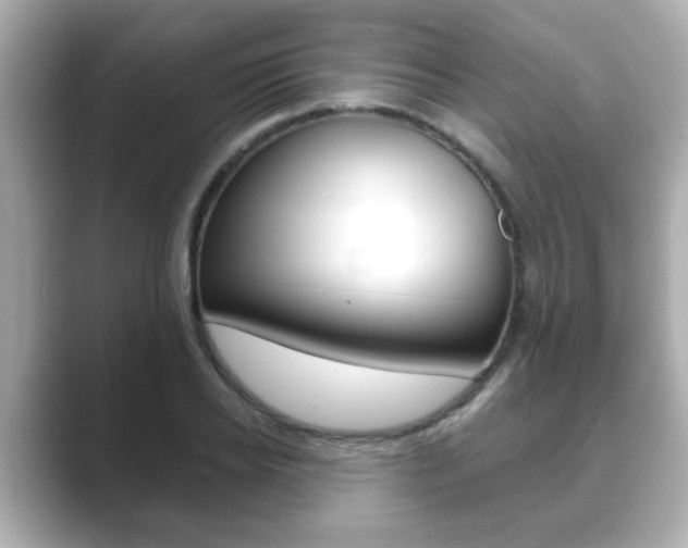 X0000089680934200706210811