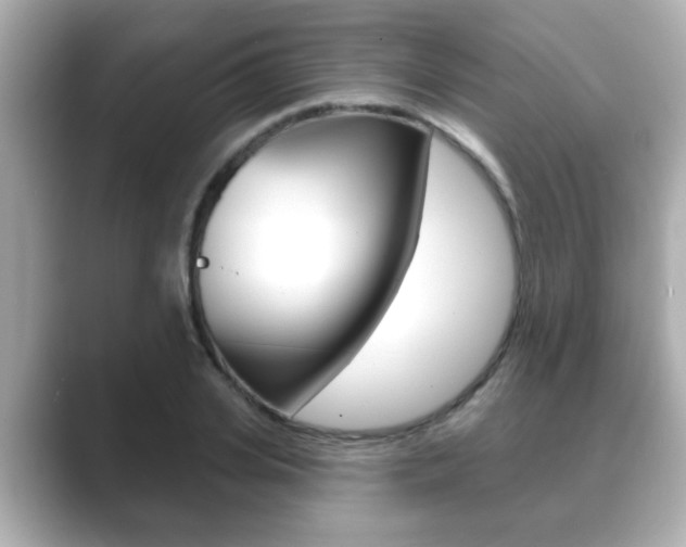 X0000089680935200706210811