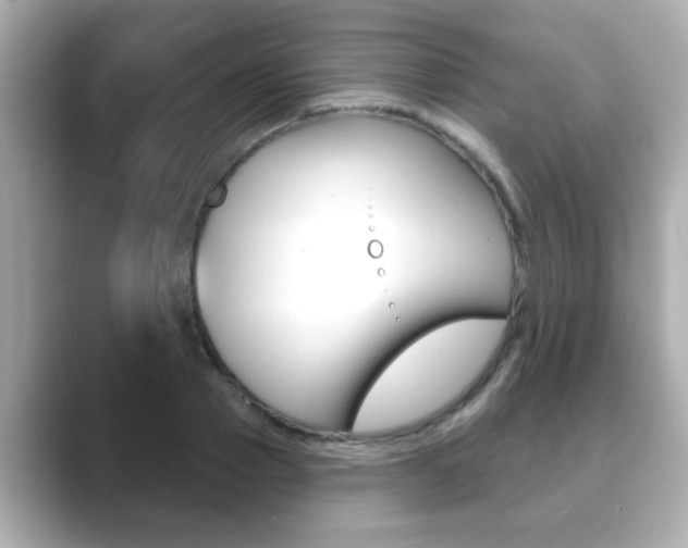 X0000089680937200706210811
